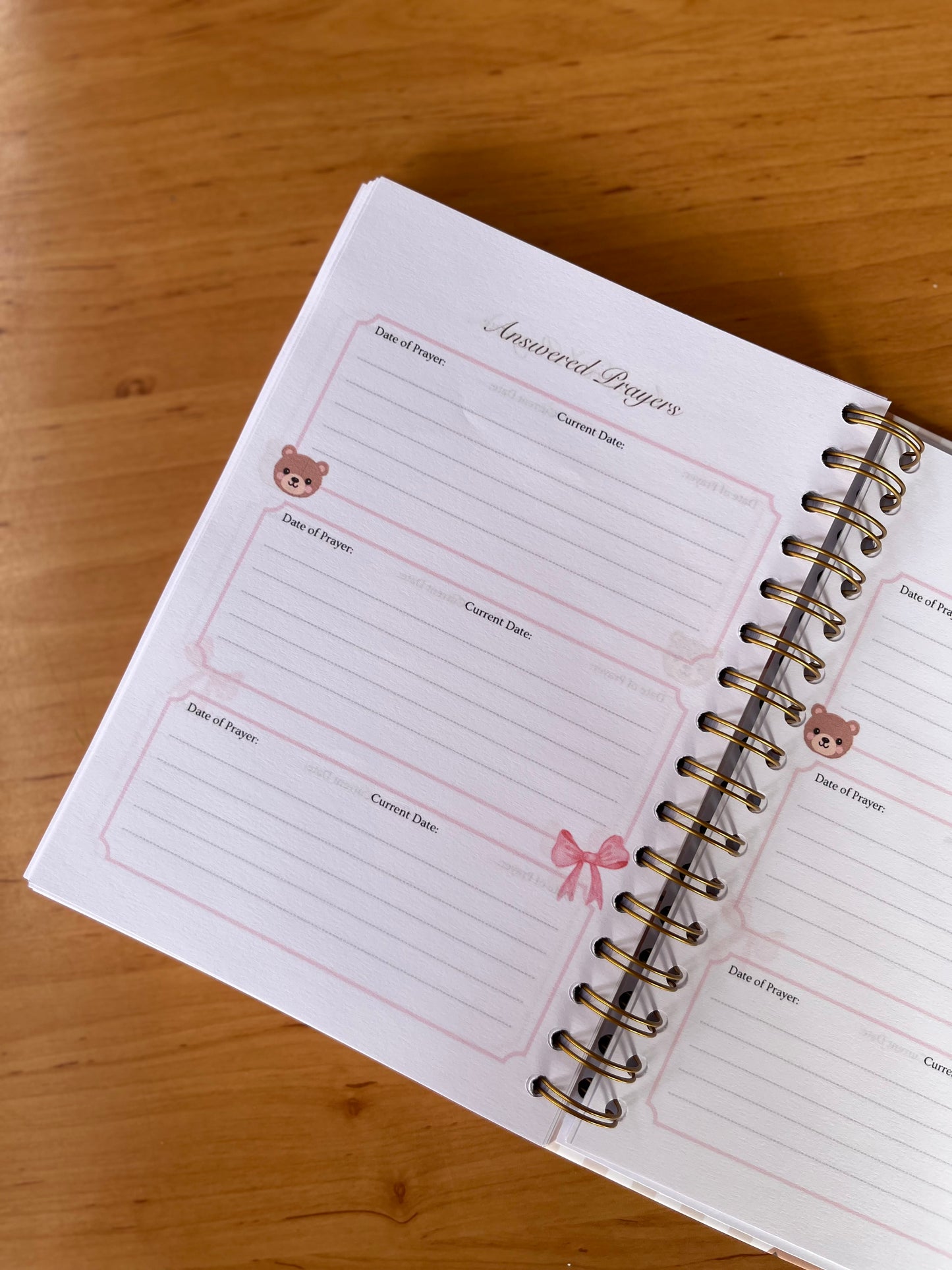 God's Daughter Guided Prayer Journal