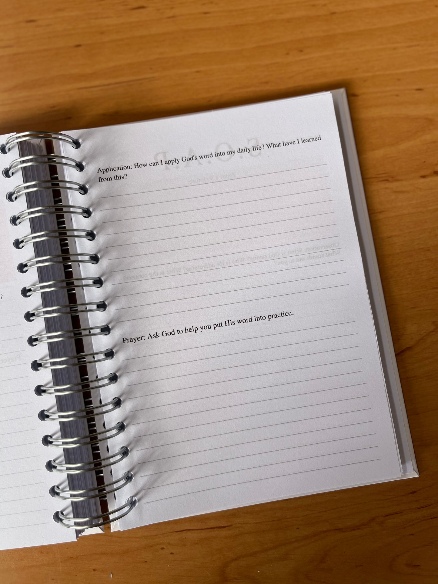 Rooted in Christ Prayer & Bible Study Journal in One