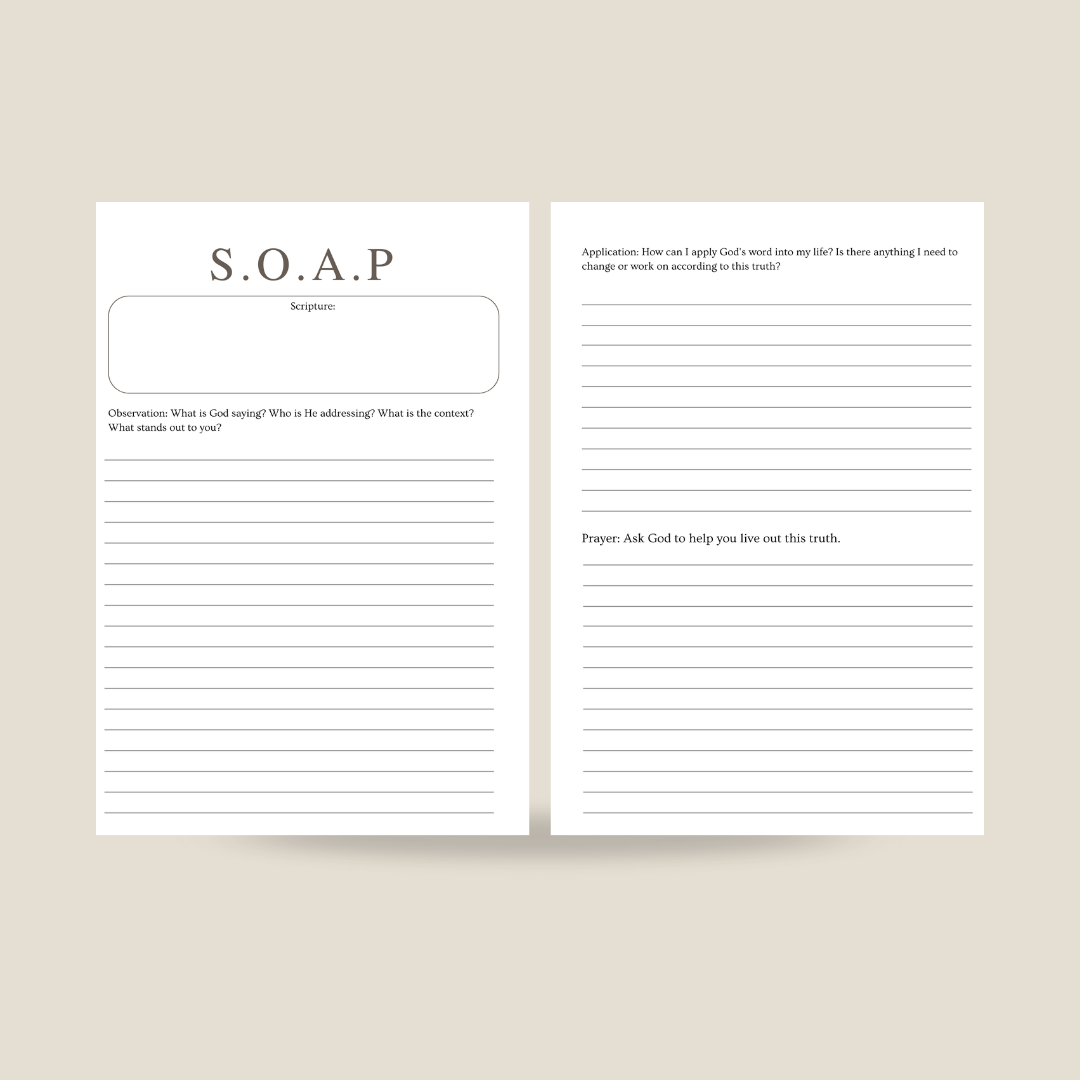 Rooted in Christ Prayer & Bible Study Journal in One