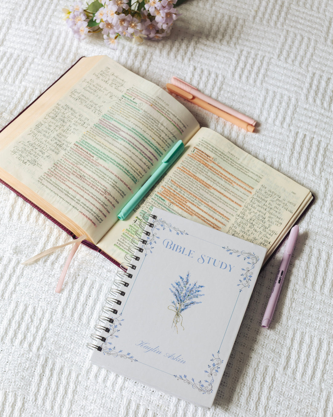 How to Study The Bible Daily