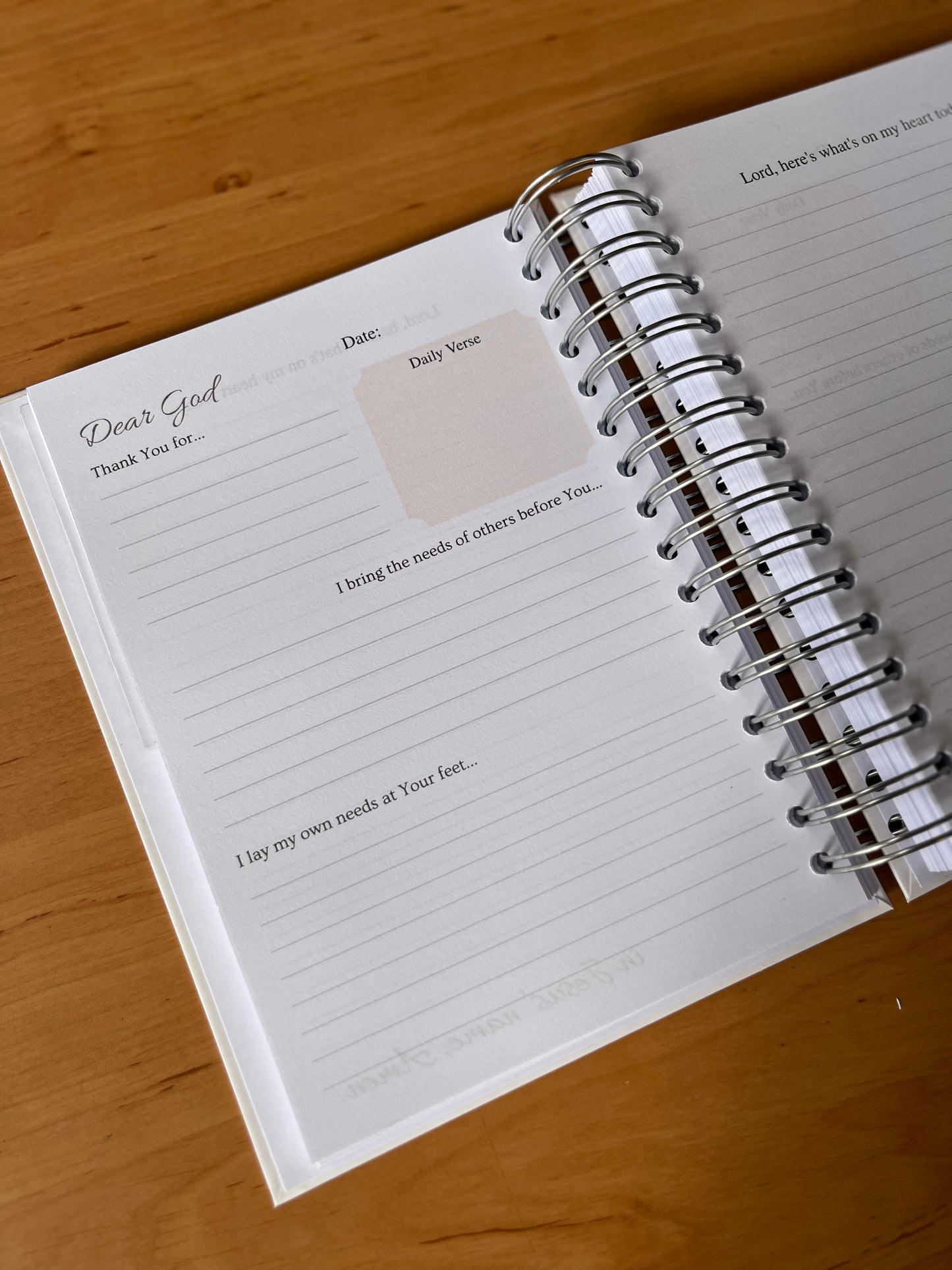 Rooted in Christ Prayer & Bible Study Journal in One