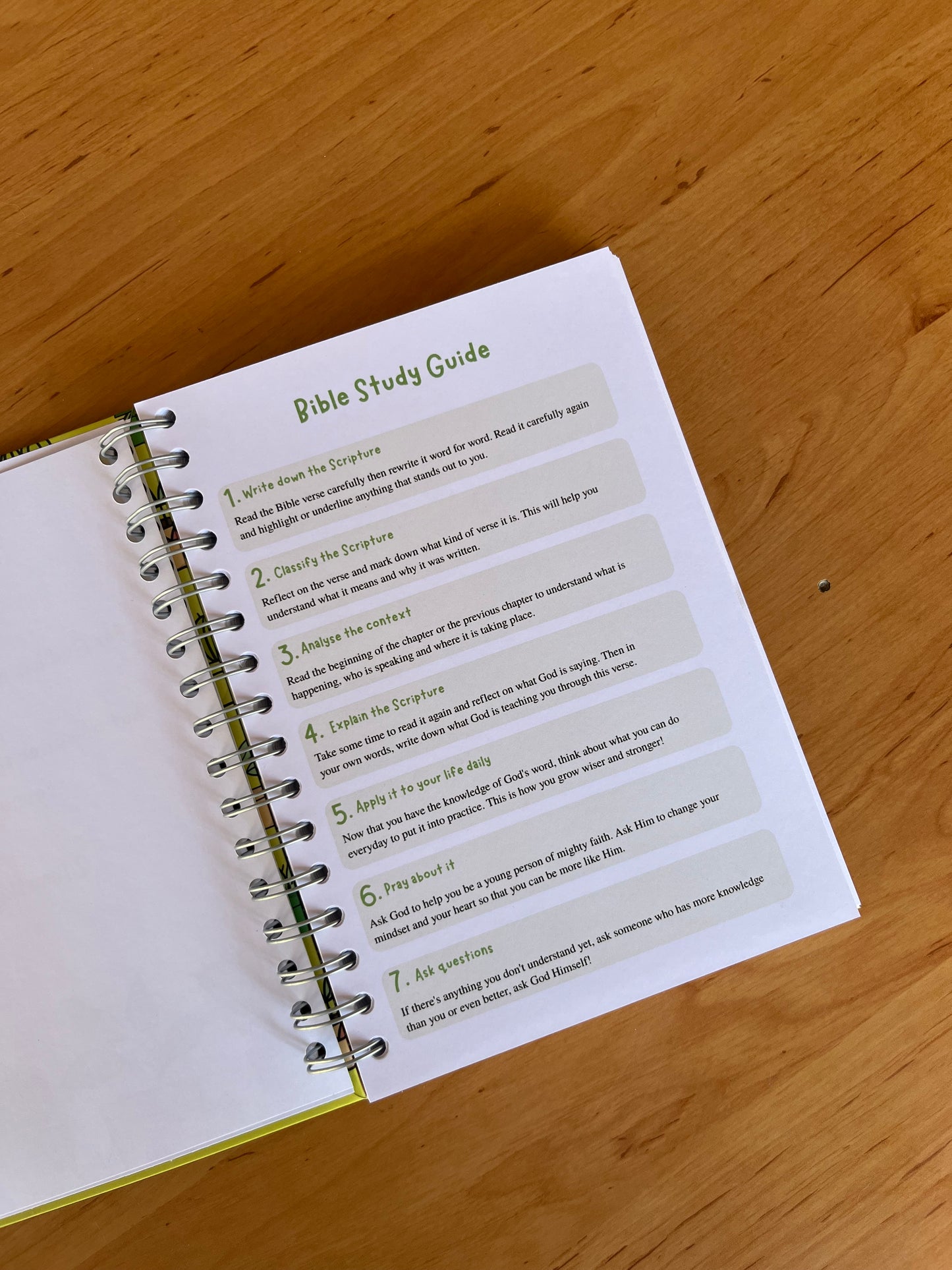 Potplant Teen Guided Bible Study Journal