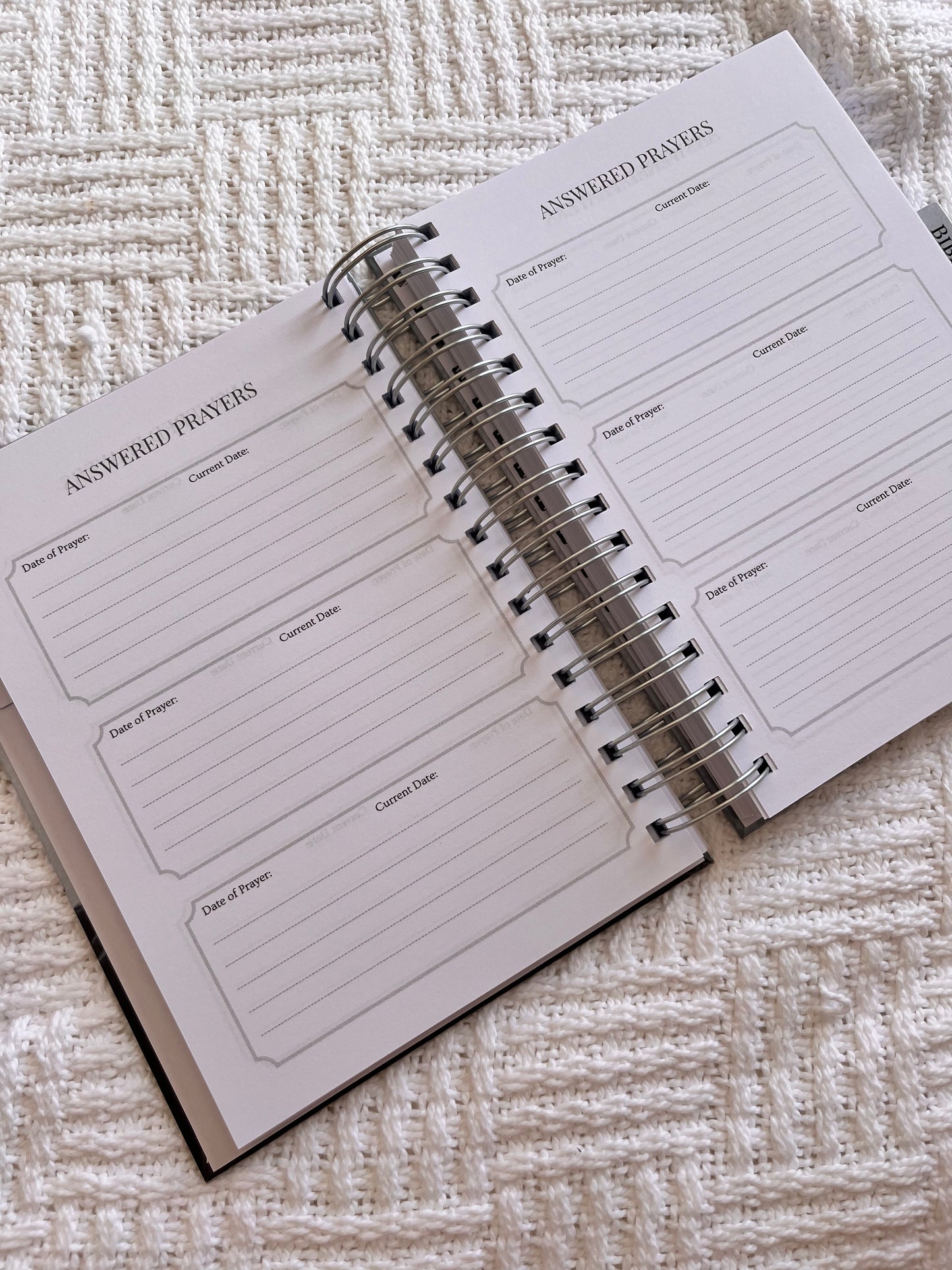 Lamb Prayer & Bible Study Journal in One