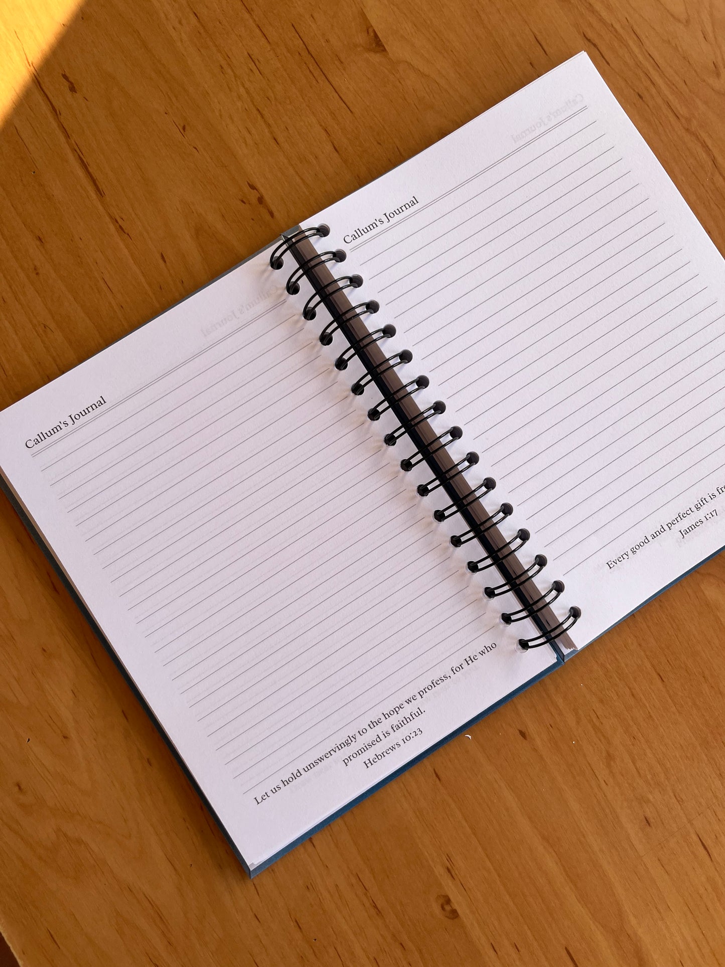 Write it Down Daily Journal with Footnotes (Multiple Colours)