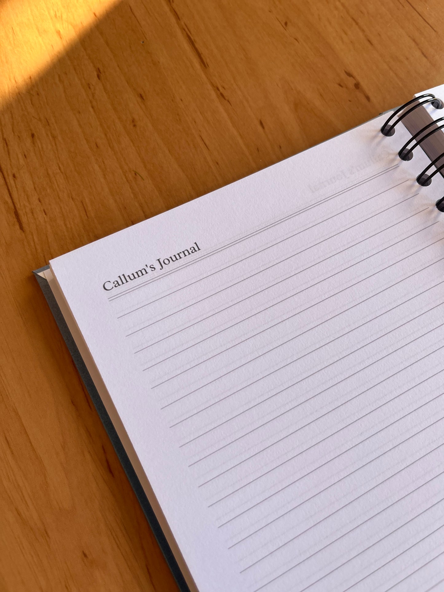 Write it Down Daily Journal with Footnotes (Multiple Colours)