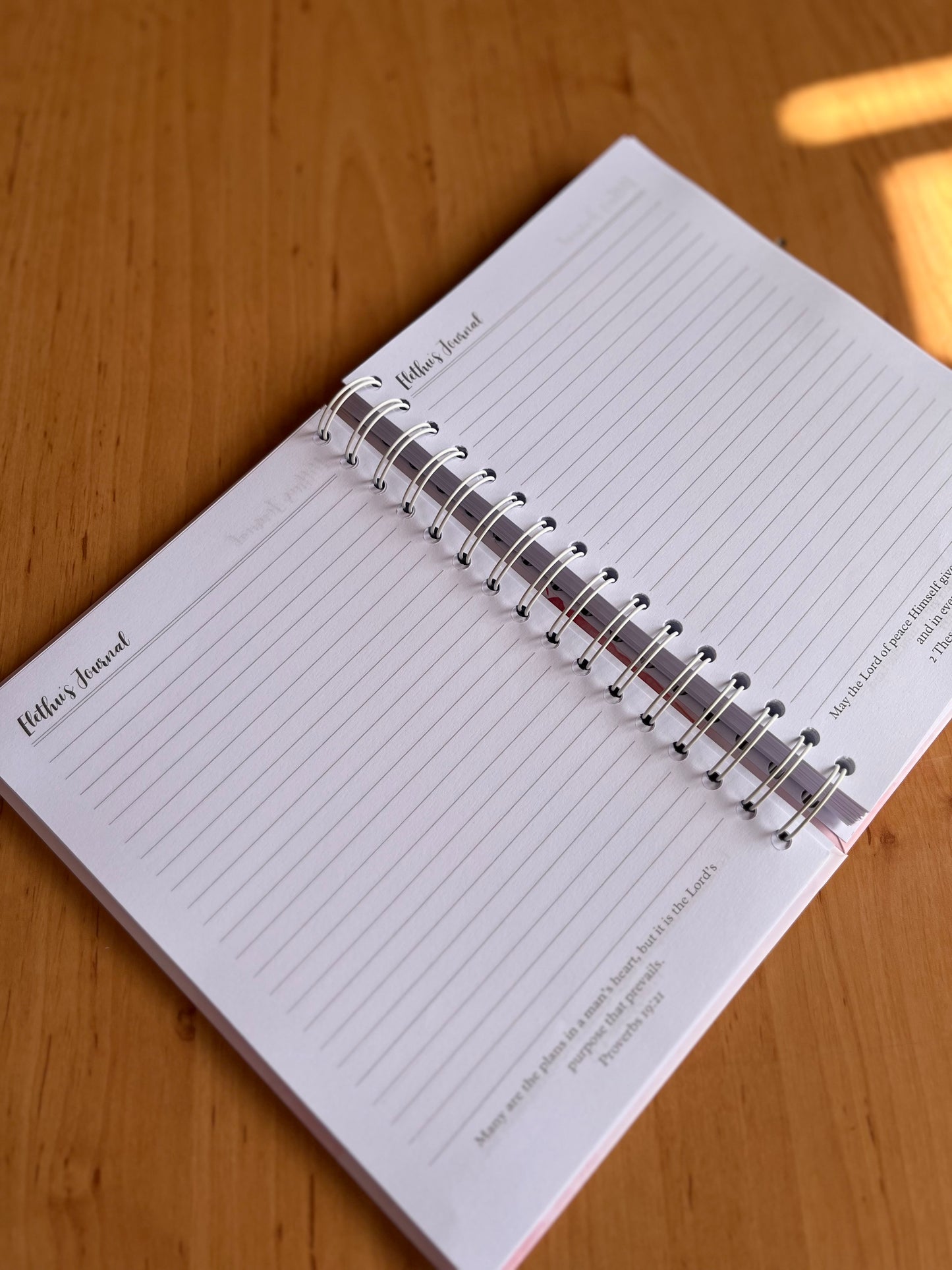 Butterfly Daily Journal with Footnotes