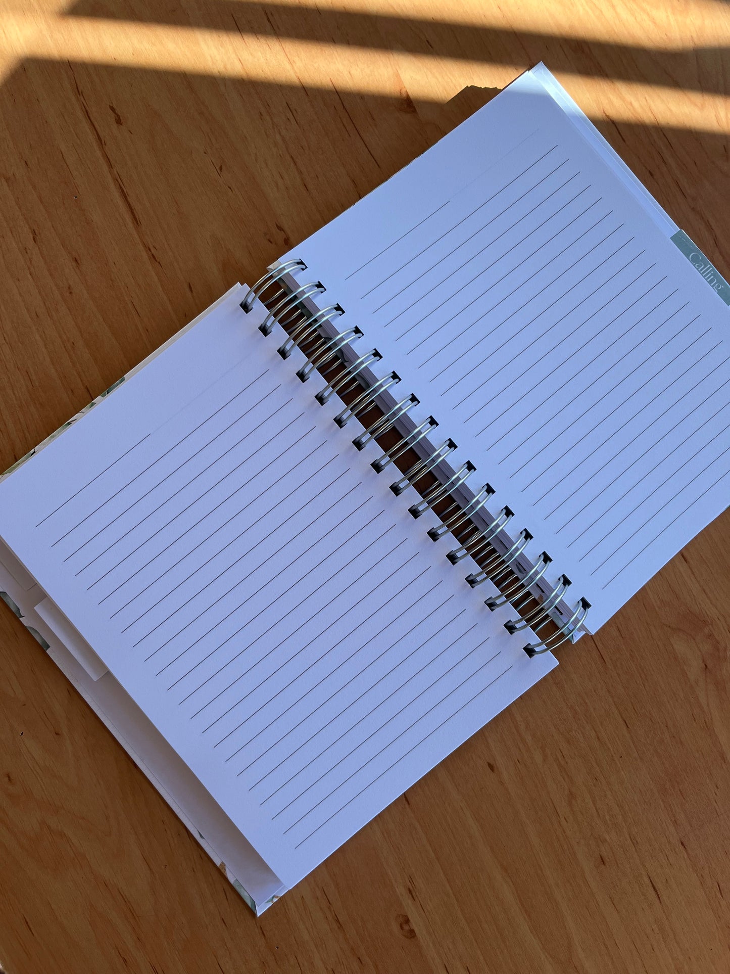 Eucalyptus Life Prayer Journal