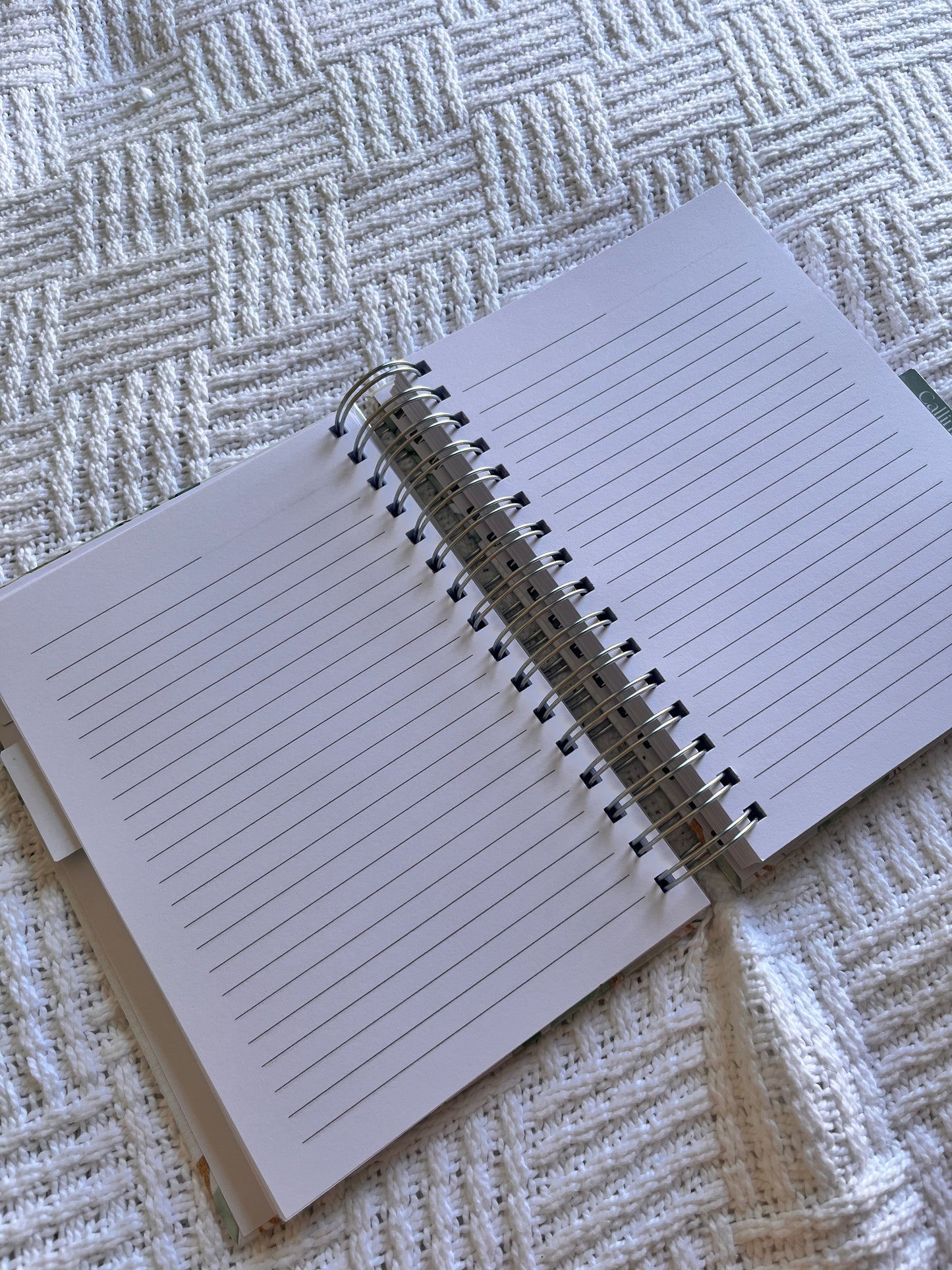 Eucalyptus Life Prayer Journal