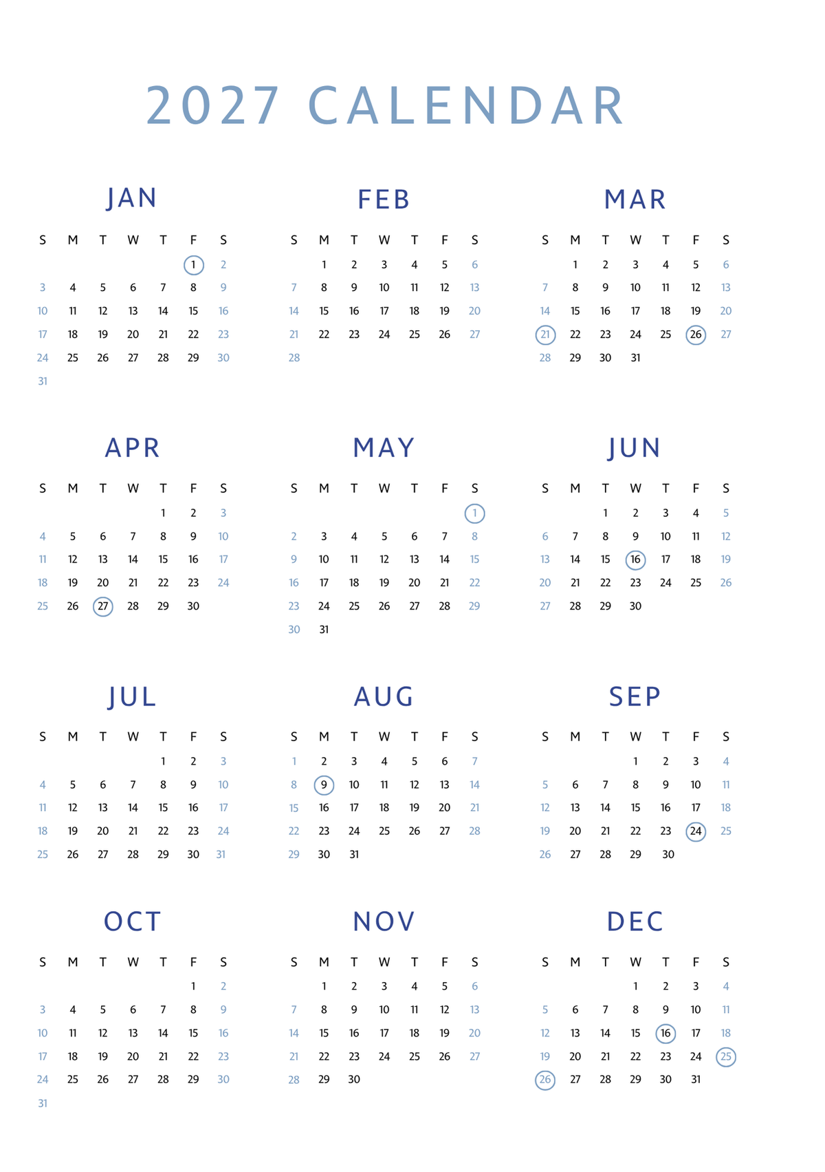 Steadfast 2027 Diary