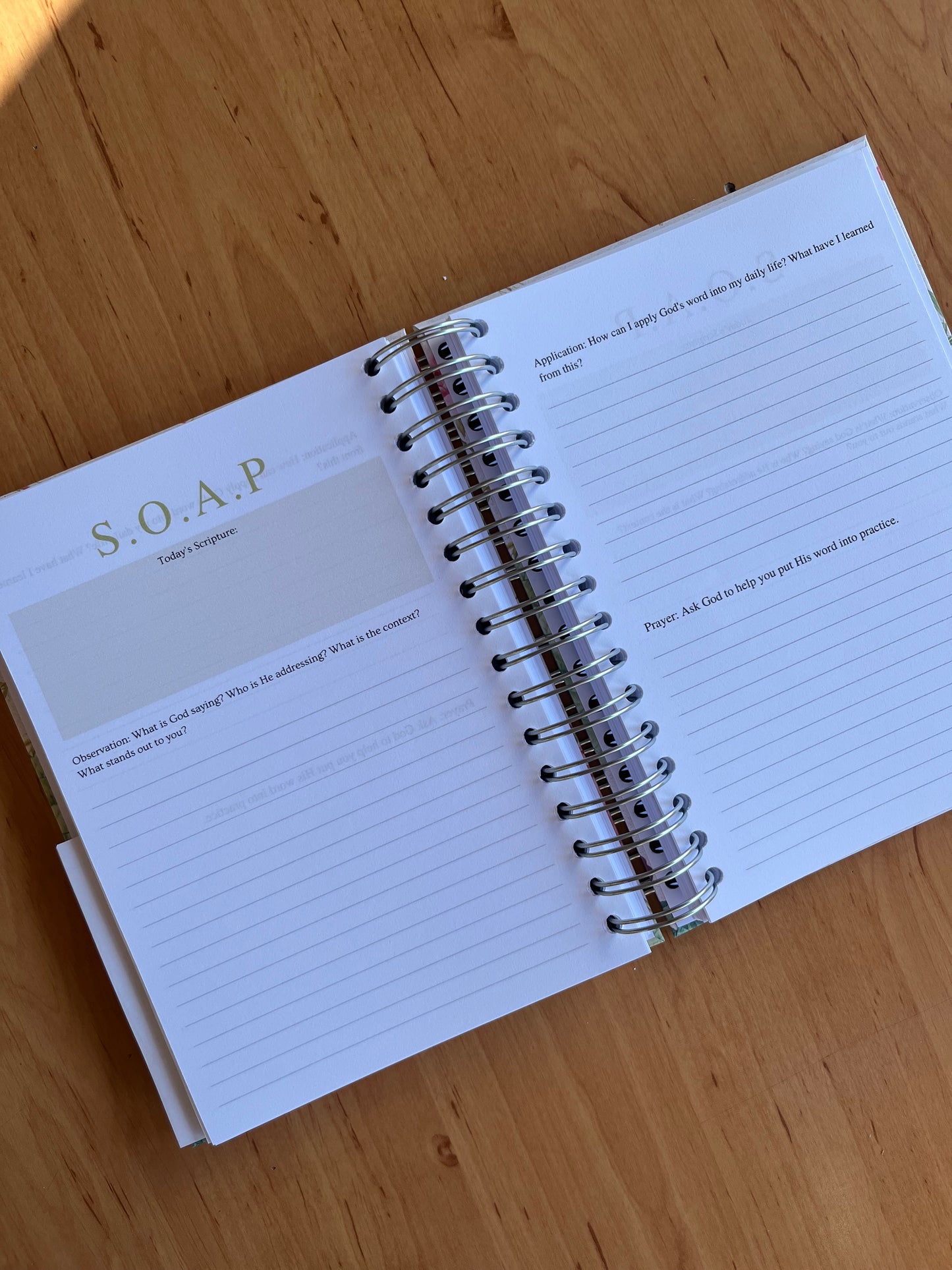 Rose Prayer & Bible Study Journal in One