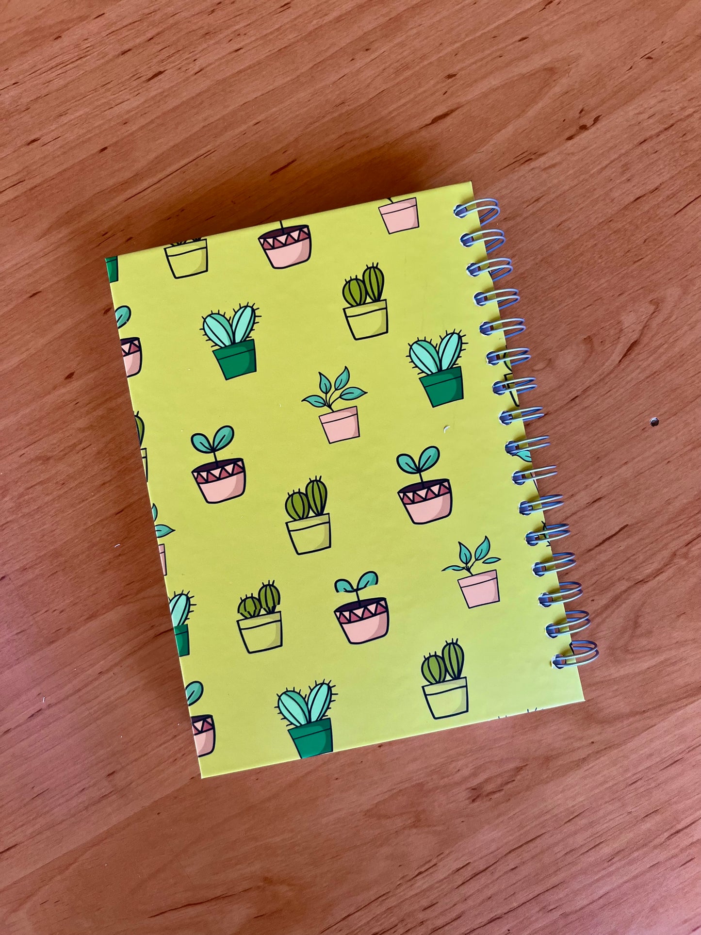 Potplant Teen Guided Bible Study Journal