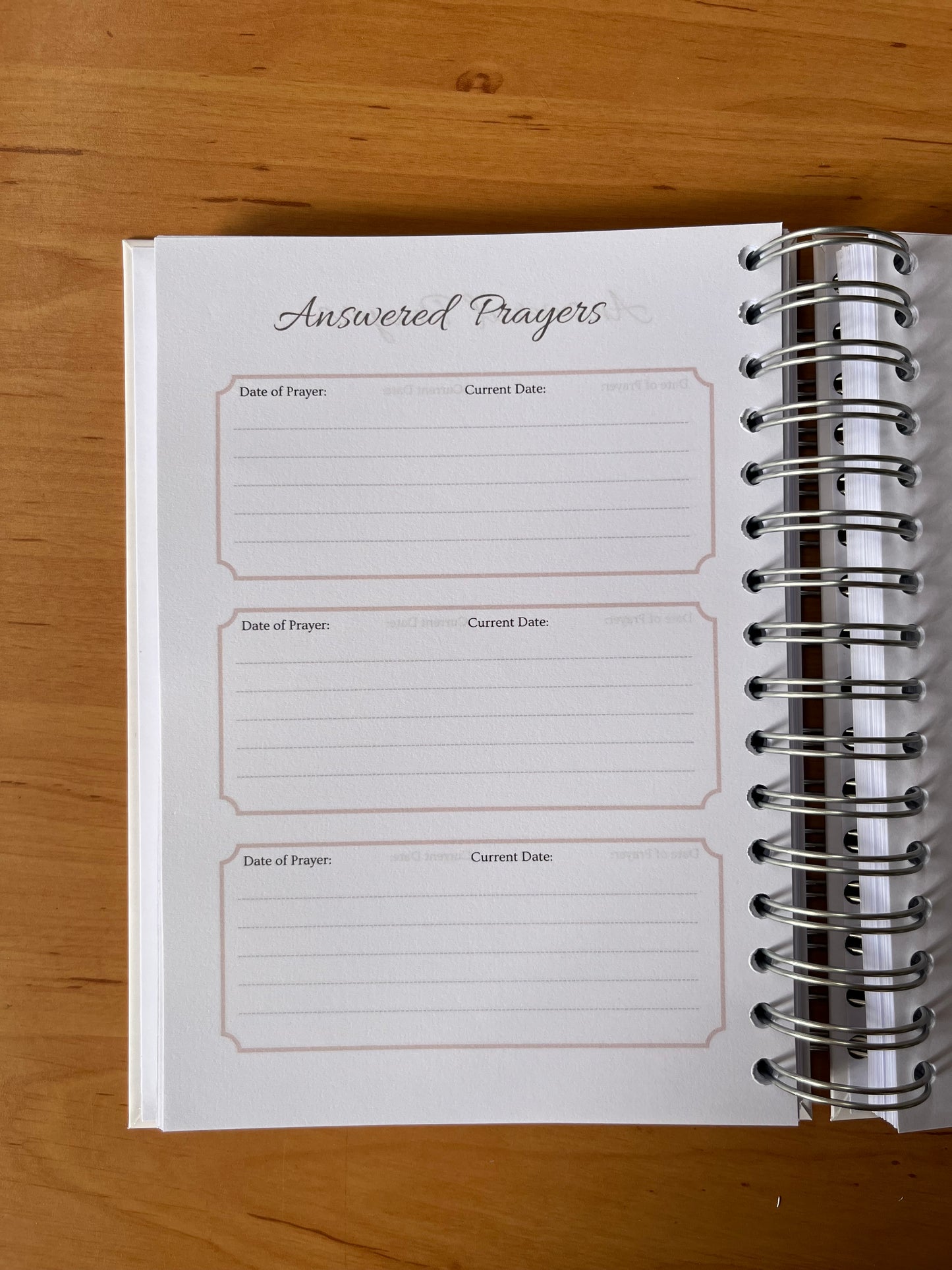 Rooted in Christ Prayer & Bible Study Journal in One