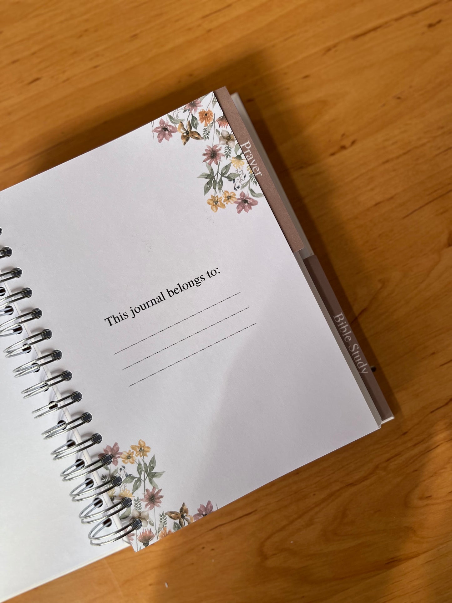 Rooted in Christ Prayer & Bible Study Journal in One