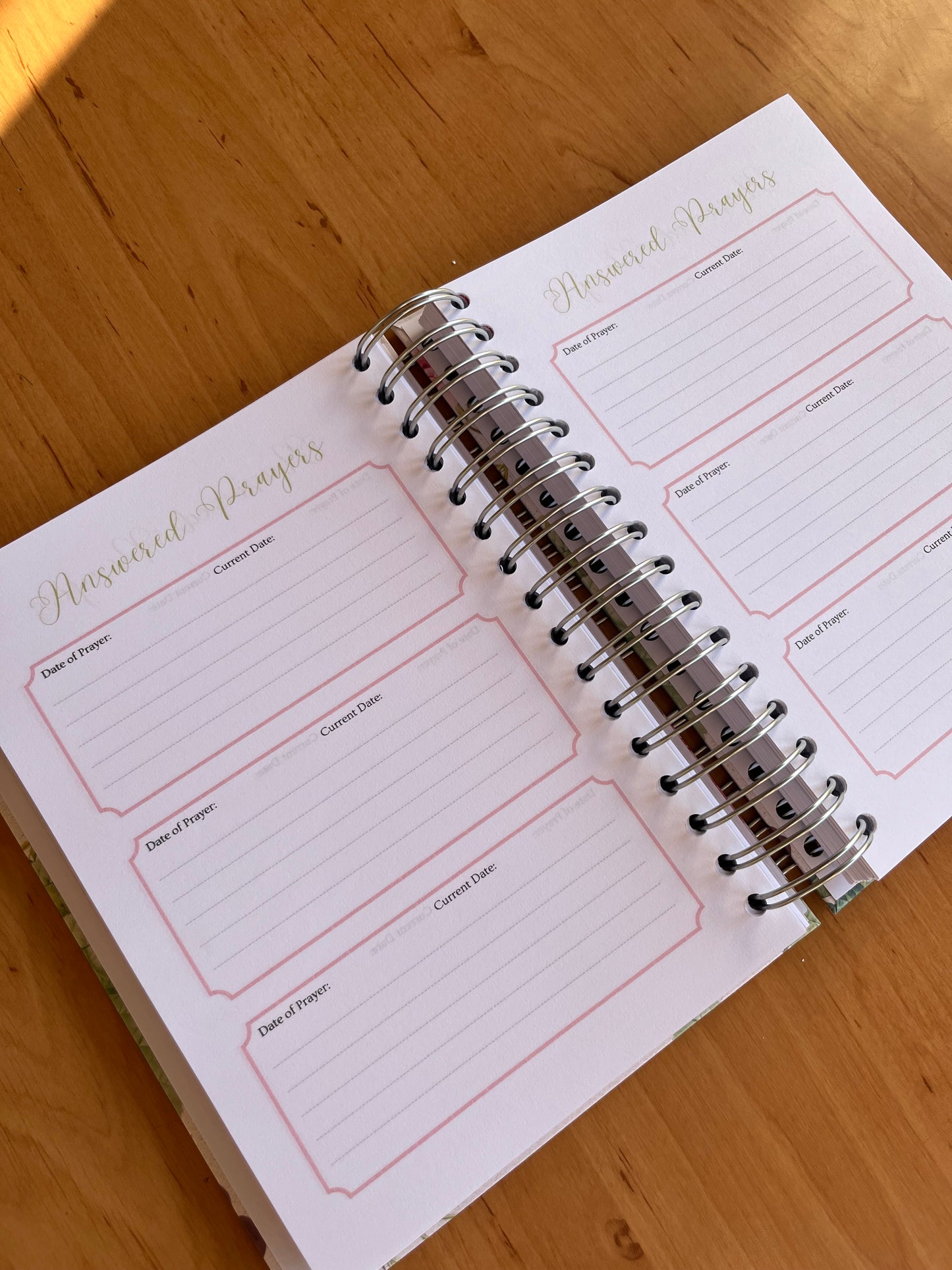 Rose Prayer & Bible Study Journal in One
