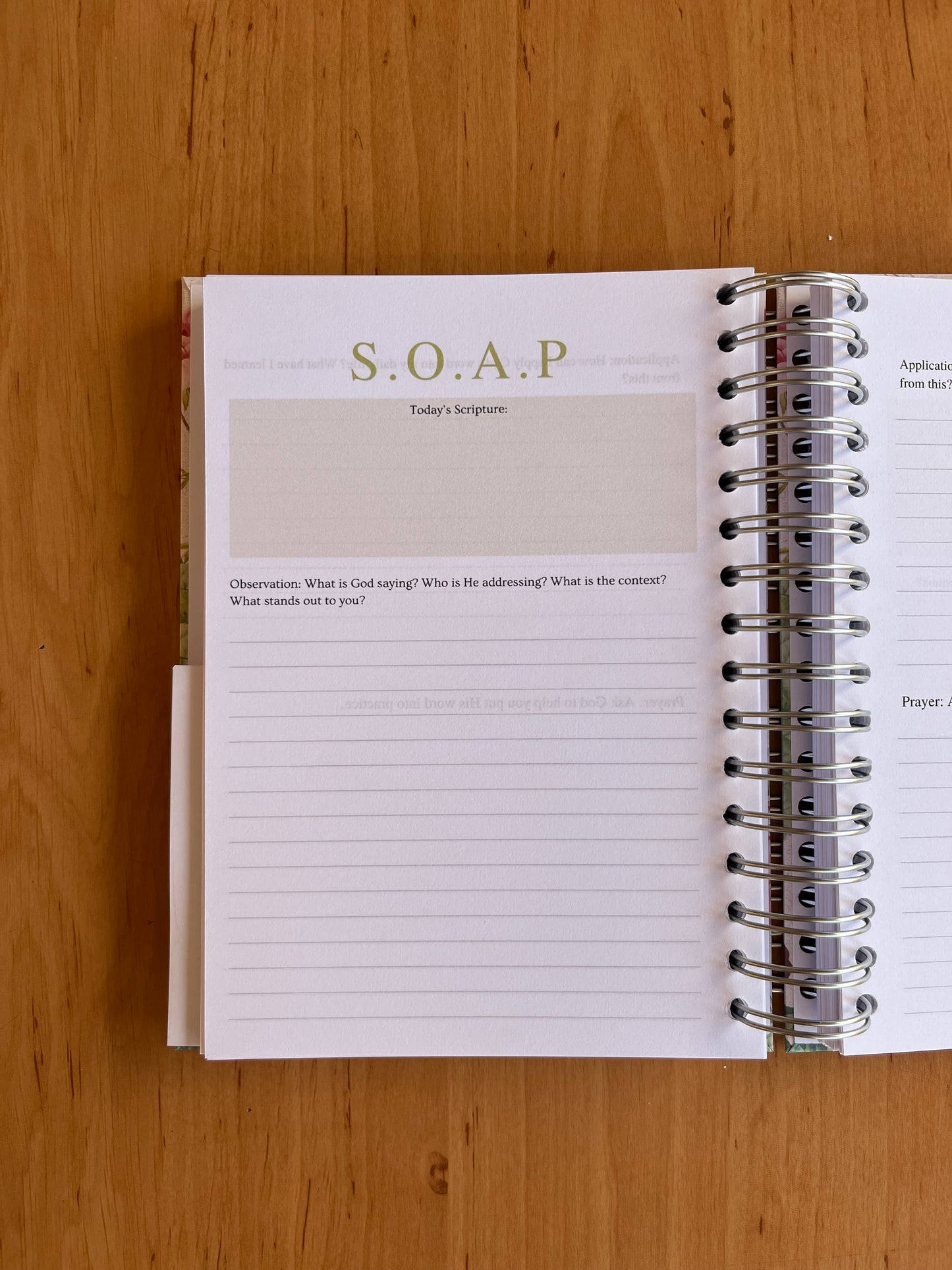 Rose Prayer & Bible Study Journal in One