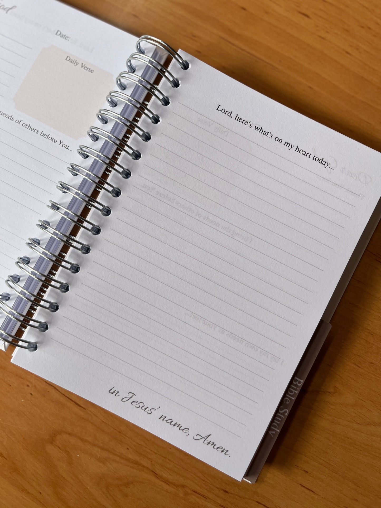 Rooted in Christ Prayer & Bible Study Journal in One