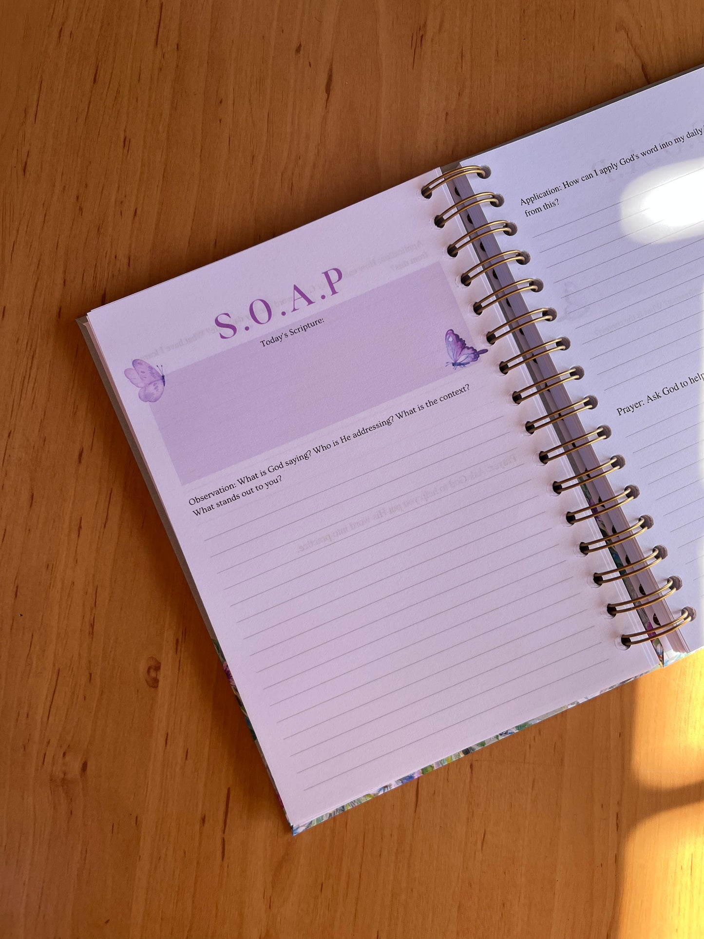 Grow in Grace Bible Study Journal